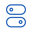 Customizable Security Settings Icon